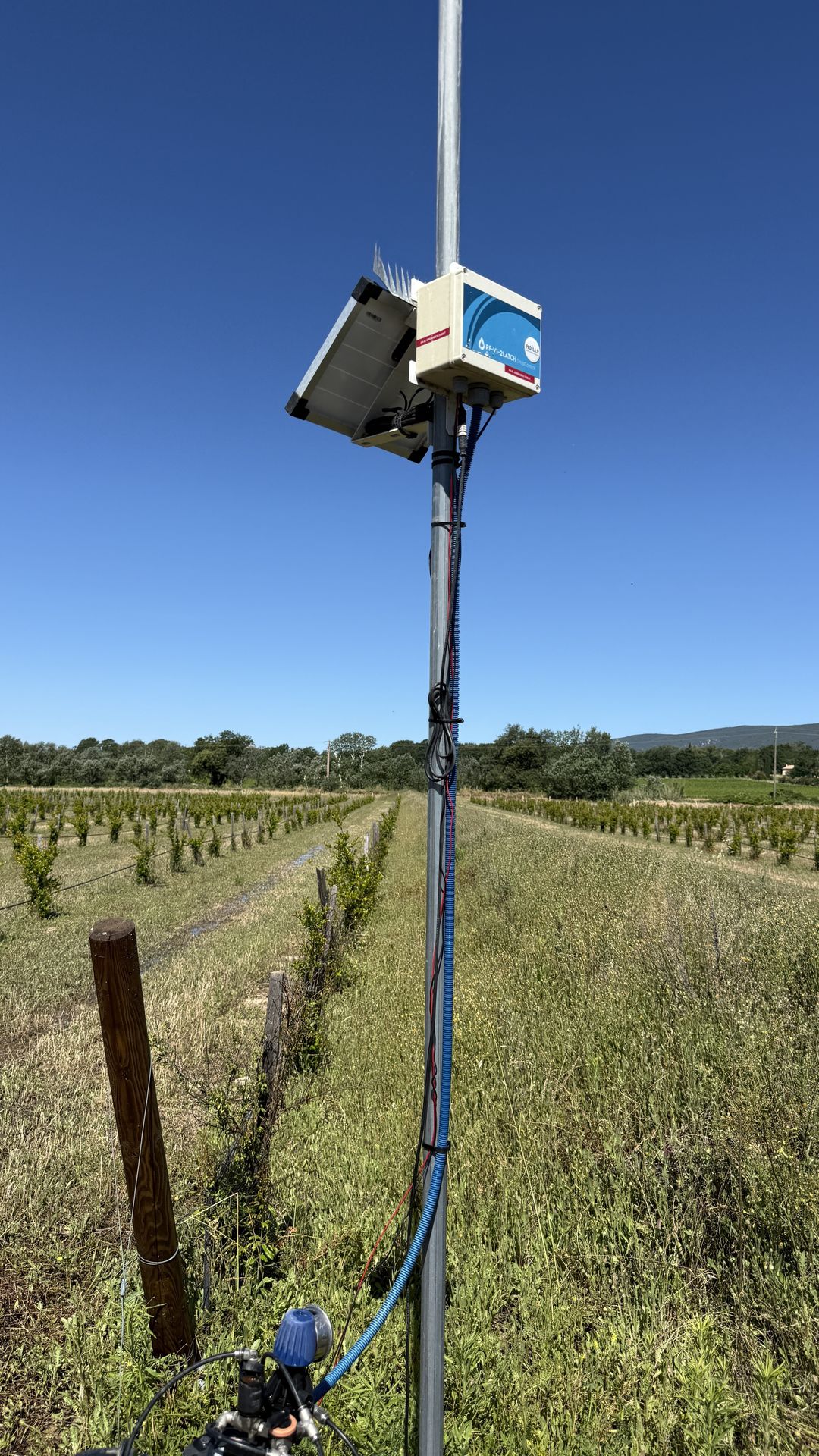 Capteur d'irrigation connecté installé en plein champ